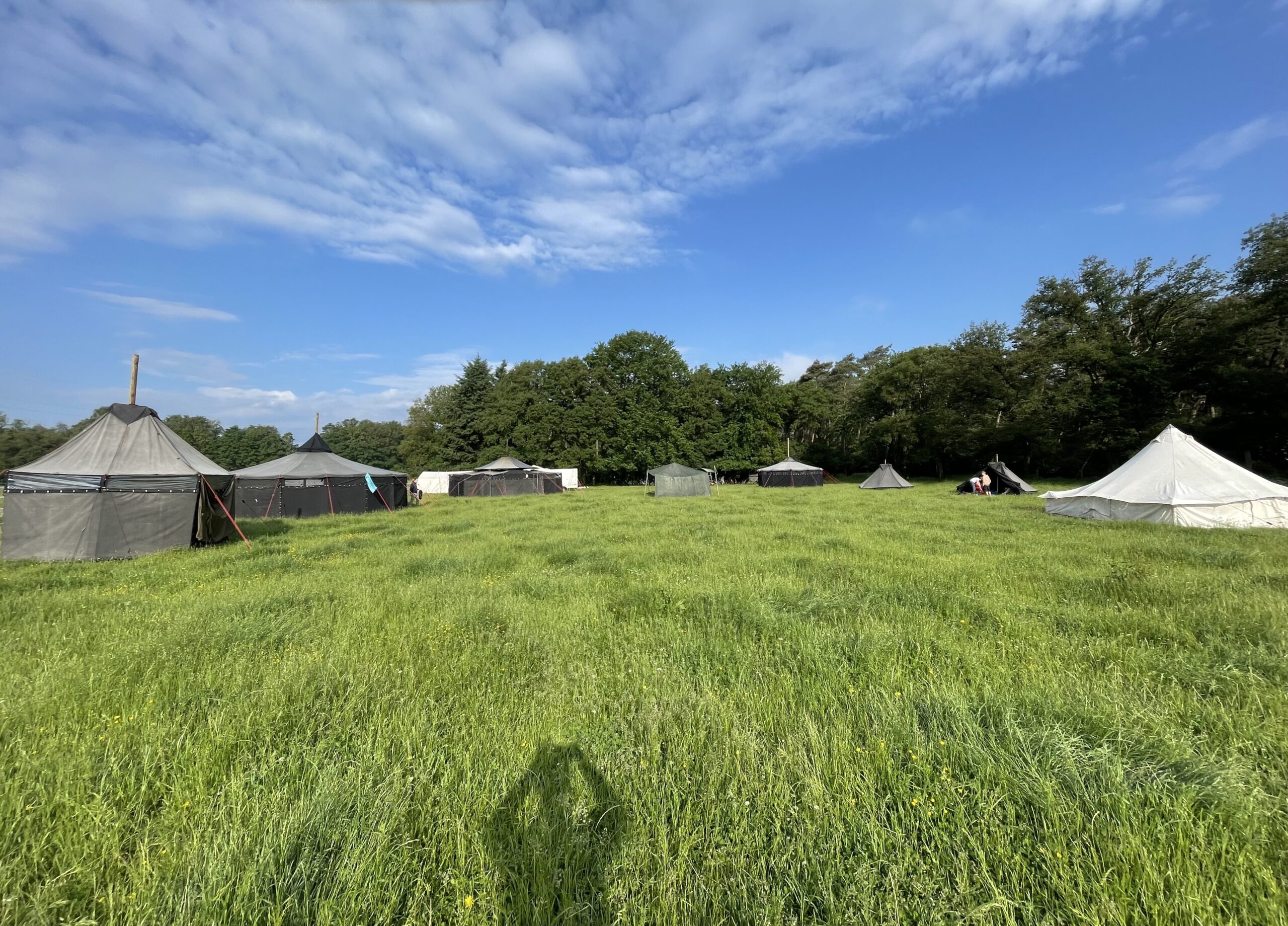 2024 – „MissionGreen“